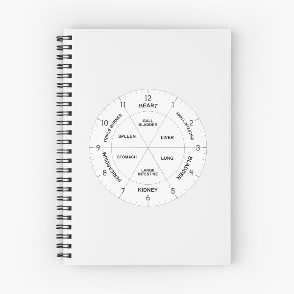 Item preview, TCM Traditional Chinese Body Clock Zang Fu Organ Hours Time - East Asian Medicine Chart designed and sold by inspirationzgal.