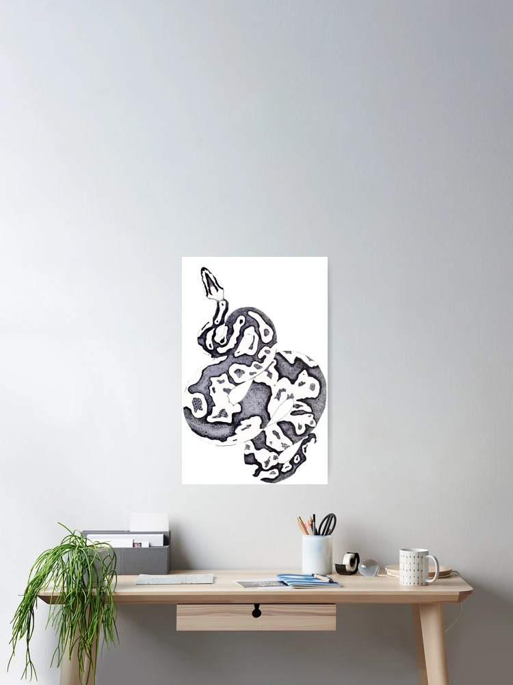 Thumbnail 2 of 3, Poster, Ball Python designed and sold by aroha93.