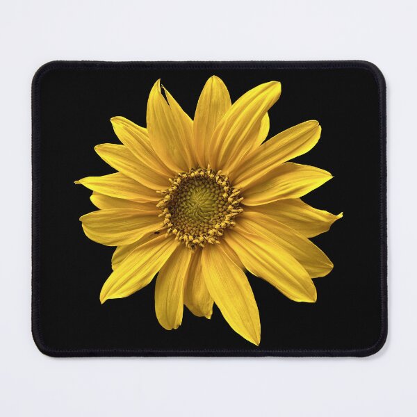 Item preview, Sunflower designed and sold by Carnegie42.