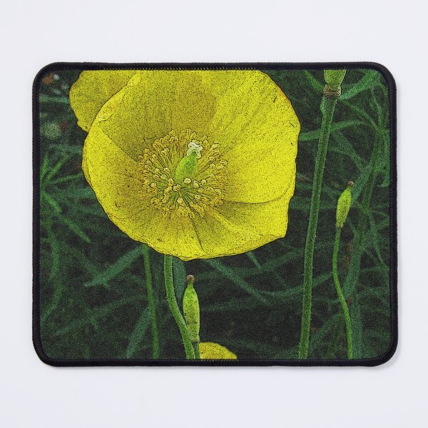 Item preview, Meconopsis designed and sold by Betty Mackey.