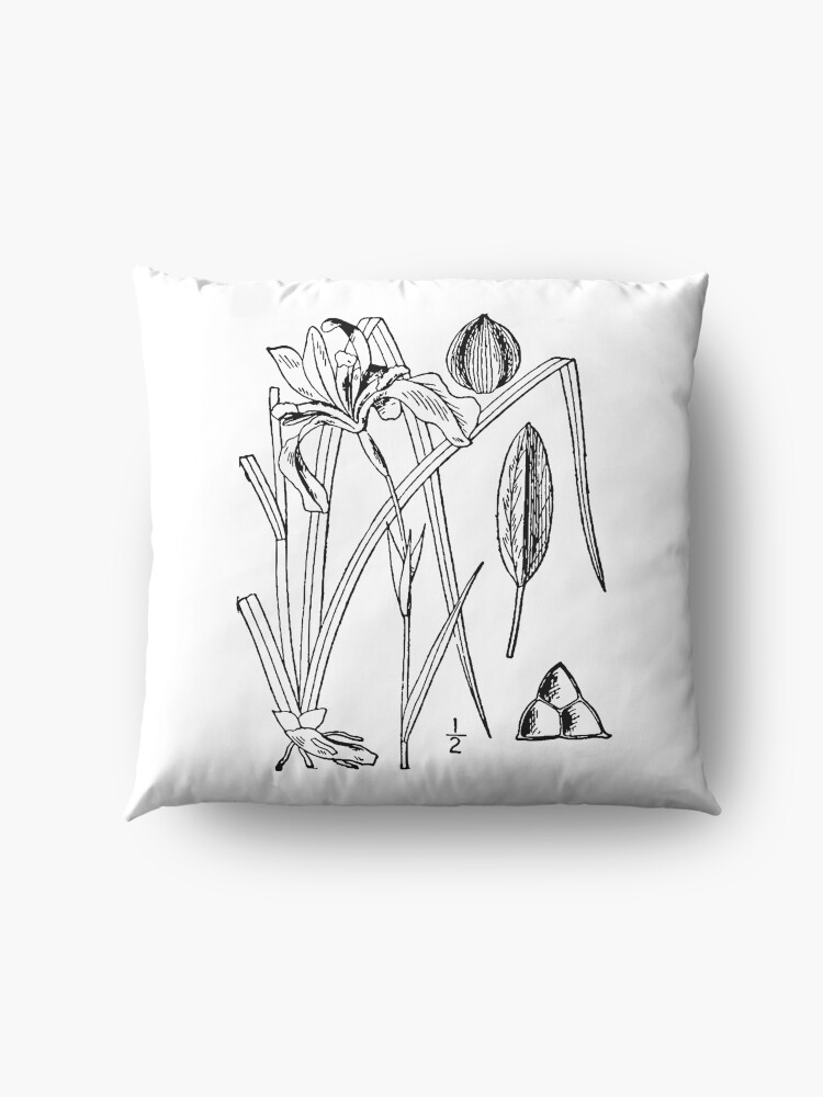 Alternate view of Botanical Scientific Illustration Black and White Iris Floor Pillow