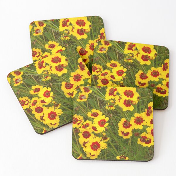 Item preview, Plains Coreopsis (Coreopsis tinctoria) designed and sold by Betty Mackey.