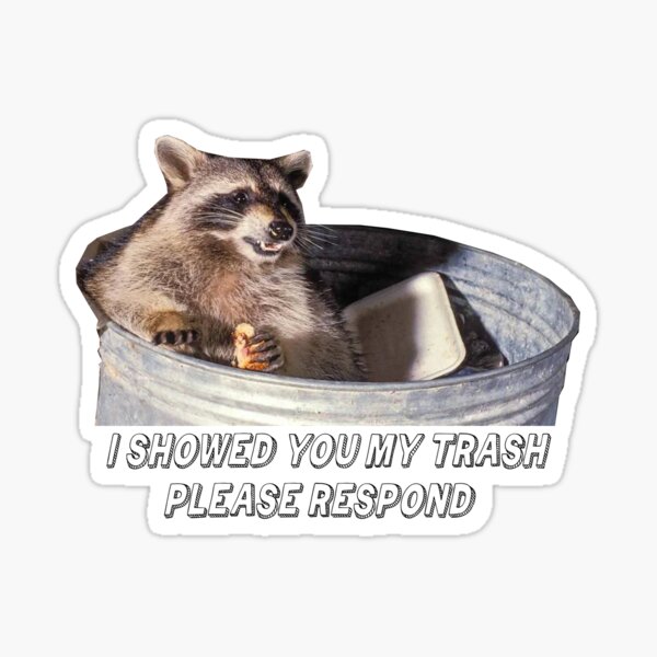 Trash Talker Raccoon Sticker for Sale by PeachesMommy