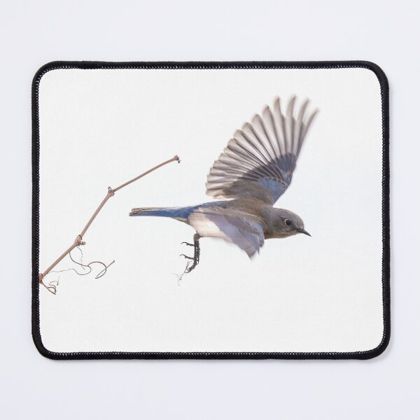 Item preview, Western Bluebird Takes Flight designed and sold by CarolM.