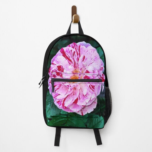 Item preview, Rosa Mundi designed and sold by Angela Fazio.