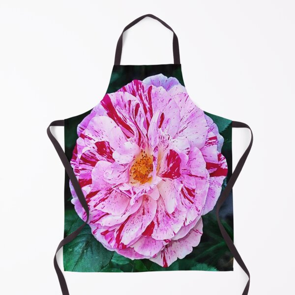 Item preview, Rosa Mundi designed and sold by Angela Fazio.