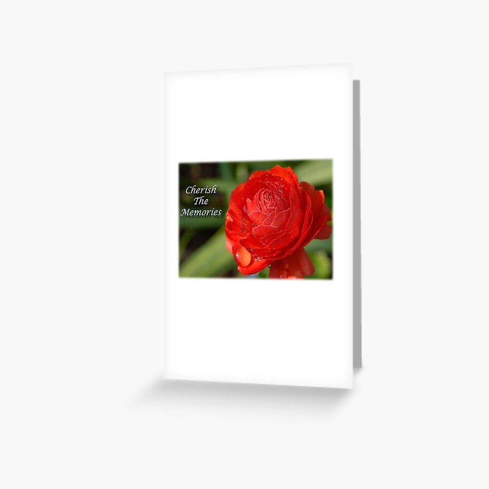 Item preview, Greeting Card designed and sold by BWBConcepts.