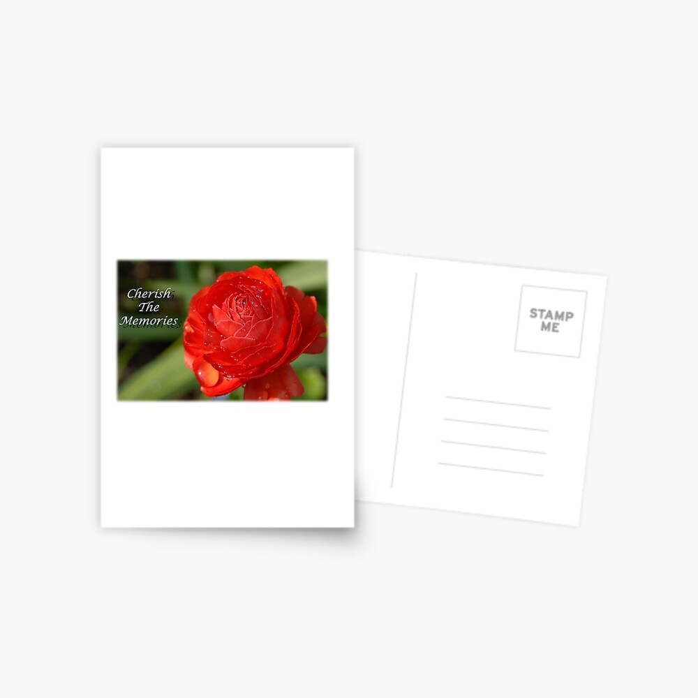 Item preview, Postcard designed and sold by BWBConcepts.