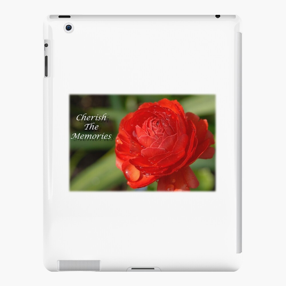 Item preview, iPad Snap Case designed and sold by BWBConcepts.