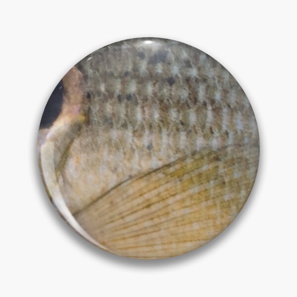 Artikelvorschau, Grünes Mondfisch-Fischschuppenmuster (natürlich) entworfen und verkauft von CJRPics.