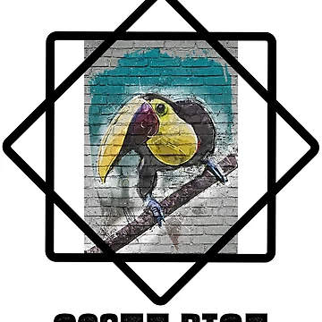 Artwork thumbnail, Toucan Costa Rica by JungleJava