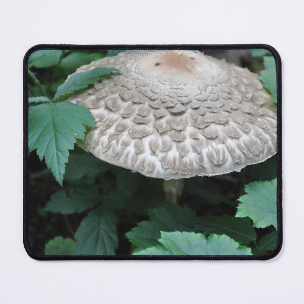 Item preview, The Forest Mushroom designed and sold by KirtTisdale.