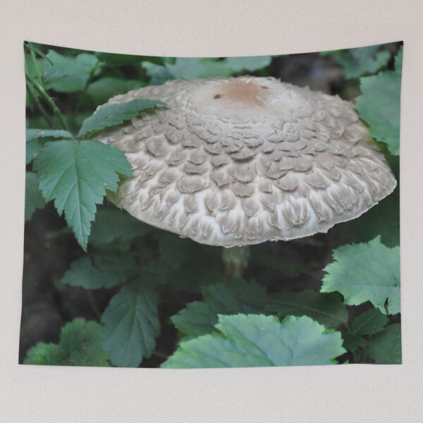 Item preview, The Forest Mushroom designed and sold by KirtTisdale.