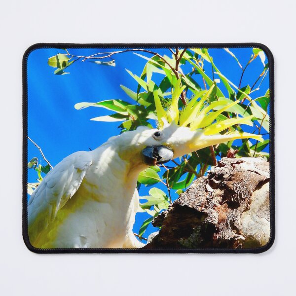 Item preview, Cockatoo colours showing of up high designed and sold by Mark Grimsley.