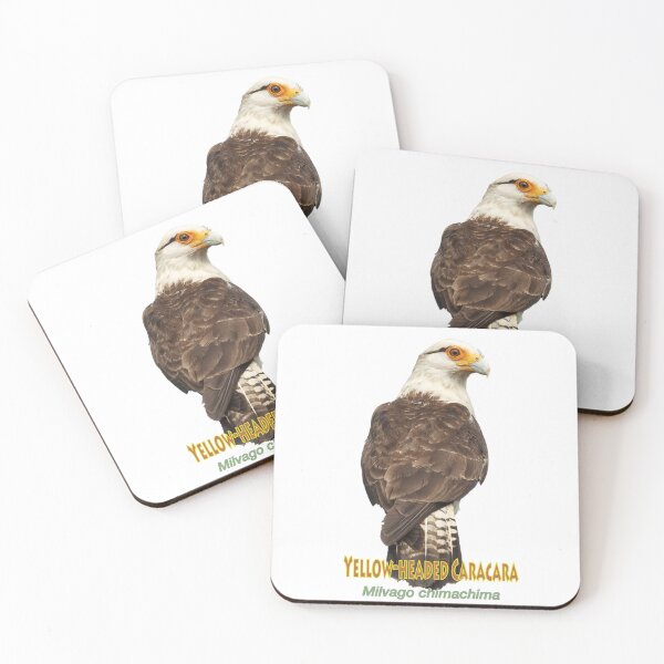 Item preview, Yellow-headed Caracara designed and sold by The Sleepy Monito.