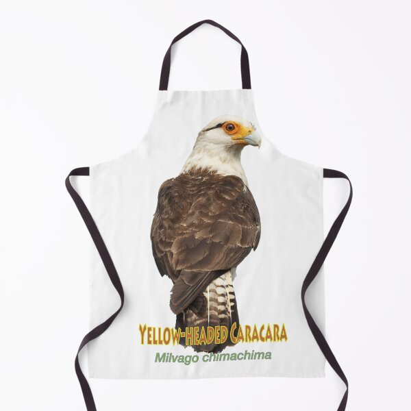 Item preview, Yellow-headed Caracara designed and sold by The Sleepy Monito.
