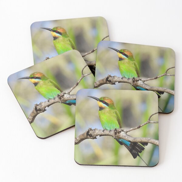 Item preview, Rainbow bee-eater colourful display designed and sold by Mark Grimsley.