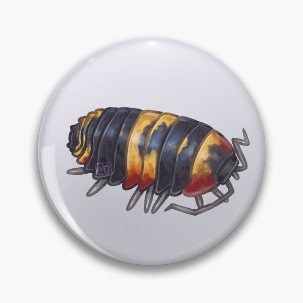 Item preview, Merulanella Tricolor Isopod designed and sold by CritterCraftz.