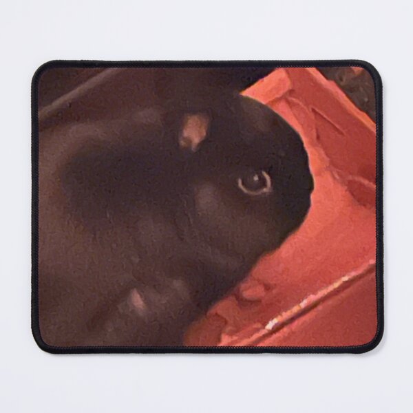 Item preview, Rabbit in a box designed and sold by DementedHoyden.