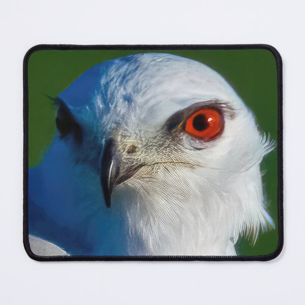 Item preview,  Black Shouldered Kite designed and sold by GiantPaul.