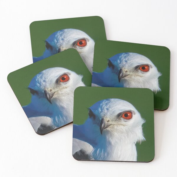 Item preview,  Black Shouldered Kite designed and sold by GiantPaul.