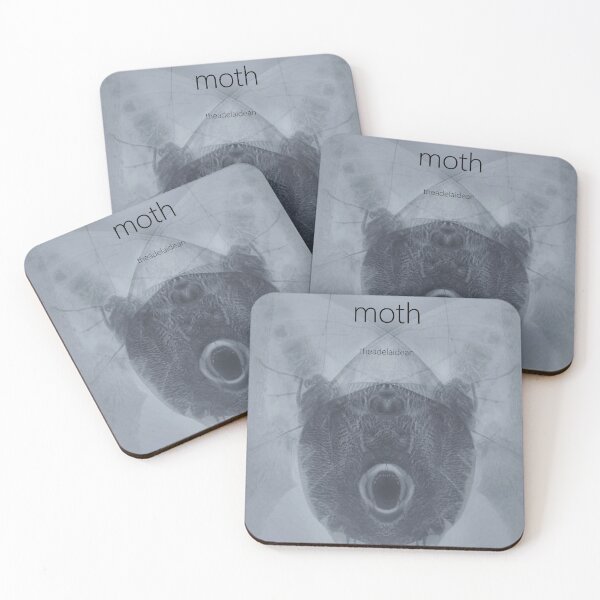 Item preview, MOTH (album cover) designed and sold by adelaidesean.