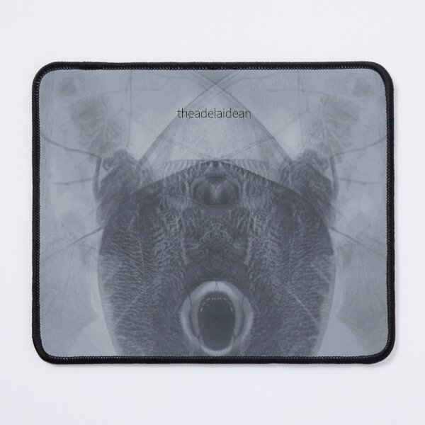 Item preview, MOTH (album cover) designed and sold by adelaidesean.