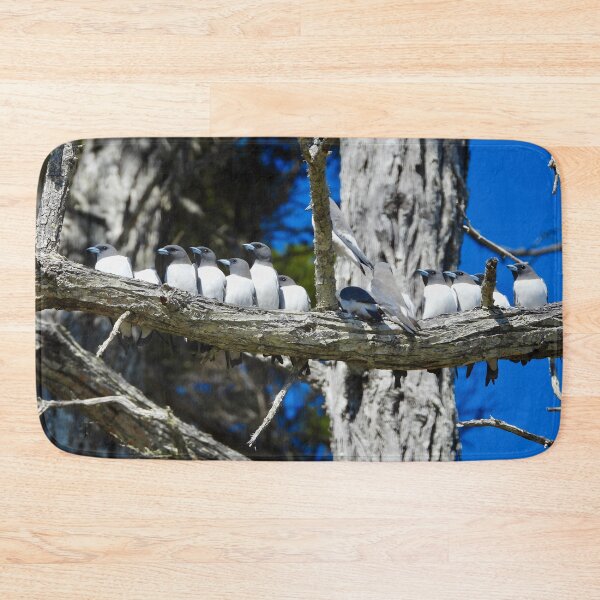 Item preview, White Breasted Woodswallows friendly group chat designed and sold by Mark Grimsley.