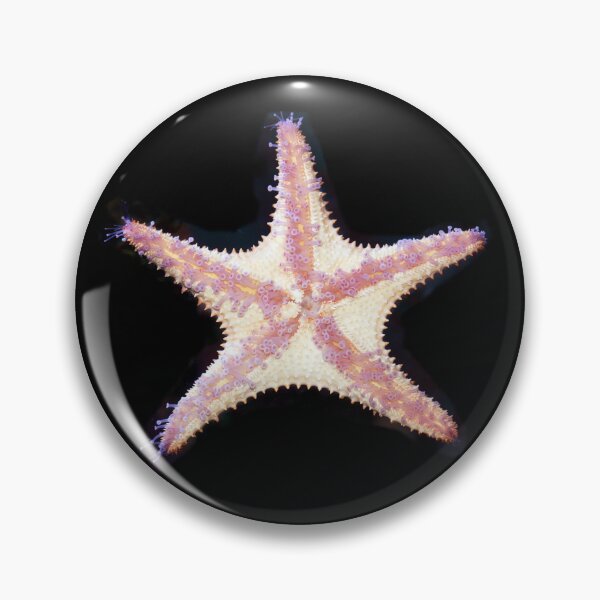 Item preview, Starfish designed and sold by Savannah Gibbs.