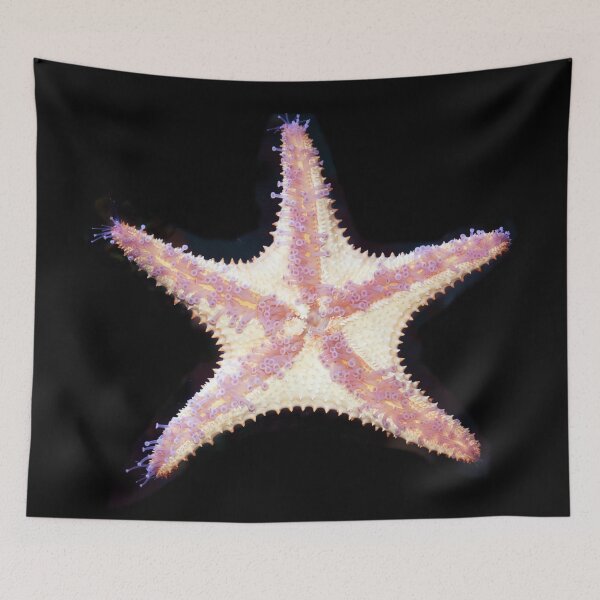 Item preview, Starfish designed and sold by Savannah Gibbs.