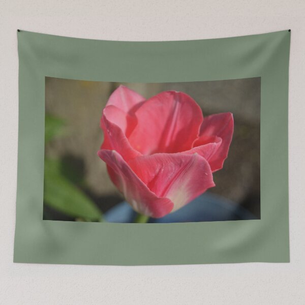 Item preview, Pink tulip flower photography designed and sold by naturematters.