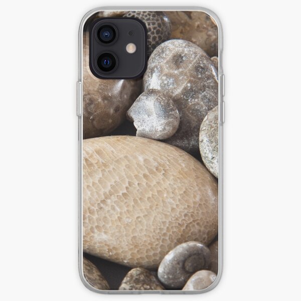 Fossil stones from the shore of Lake Michigan iPhone Soft Case