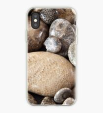 Fossil stones from the shore of Lake Michigan iPhone Case