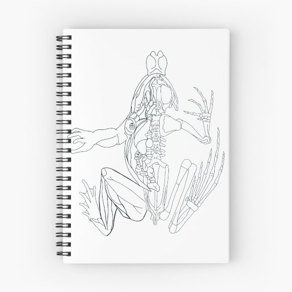 Item preview, Frog Anatomy  designed and sold by Baddm0m.