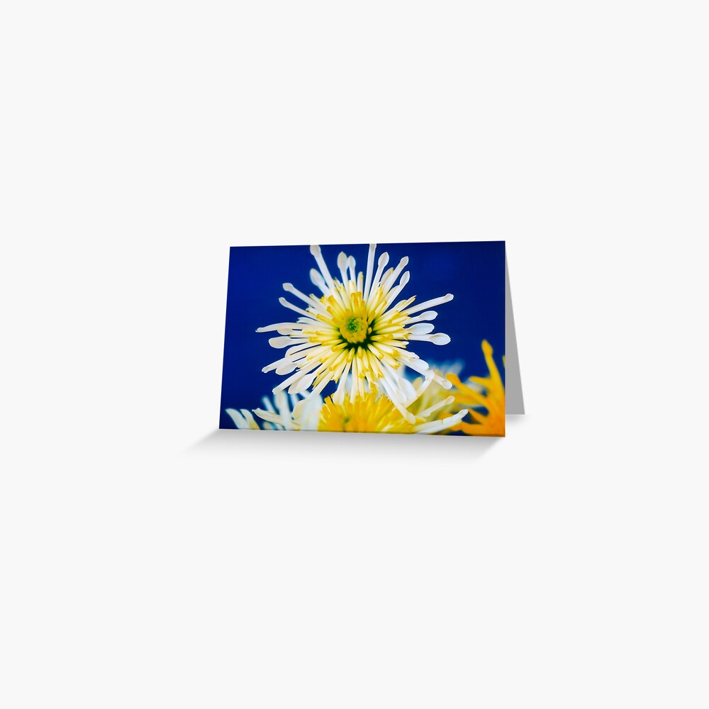 One Above Greeting Card