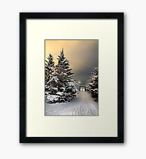 January 30 Framed Print