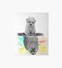 Maltese Dog Mirror Funny Apparel Art Board