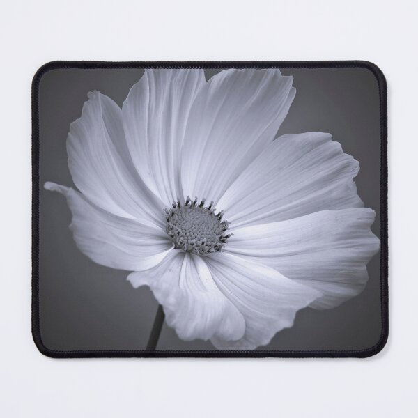 Item preview, Cosmos designed and sold by assaf.