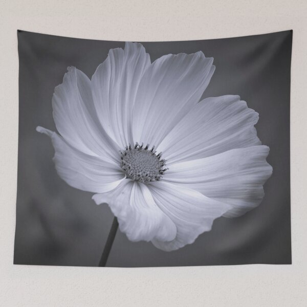 Item preview, Cosmos designed and sold by assaf.