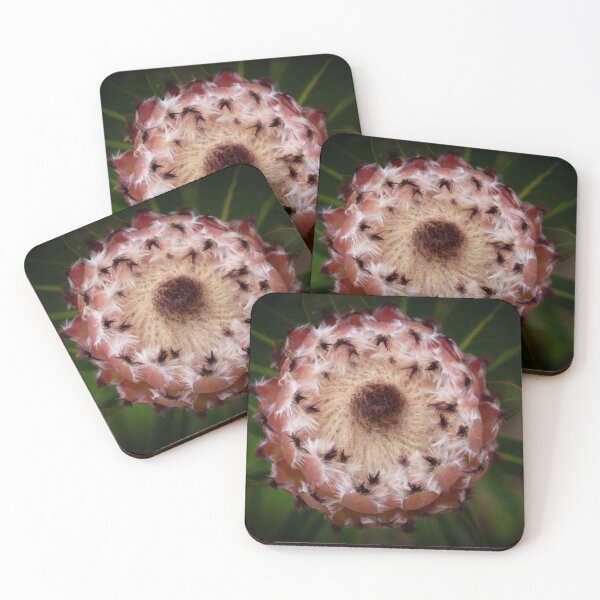 Item preview, Protea Flower  designed and sold by Linda Sijpkes.