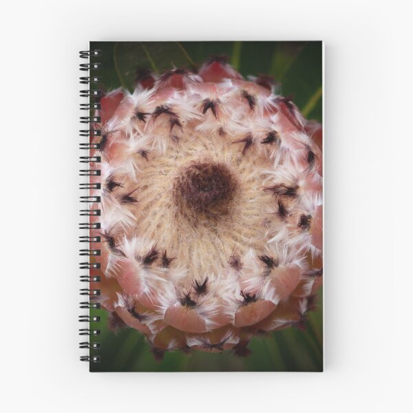 Item preview, Protea Flower  designed and sold by Linda Sijpkes.