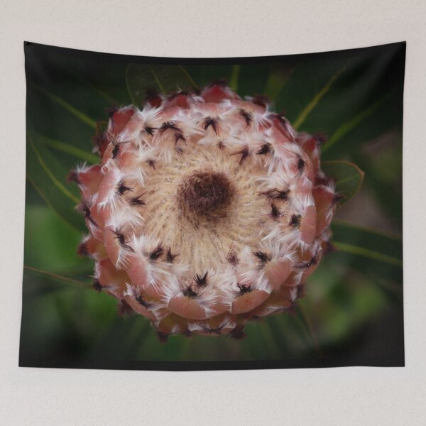 Item preview, Protea Flower  designed and sold by Linda Sijpkes.