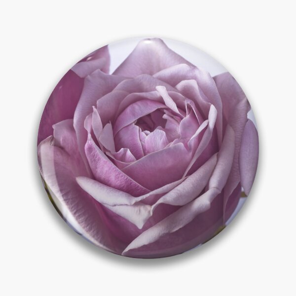 Item preview, The Allure of Purple Roses designed and sold by assaf.