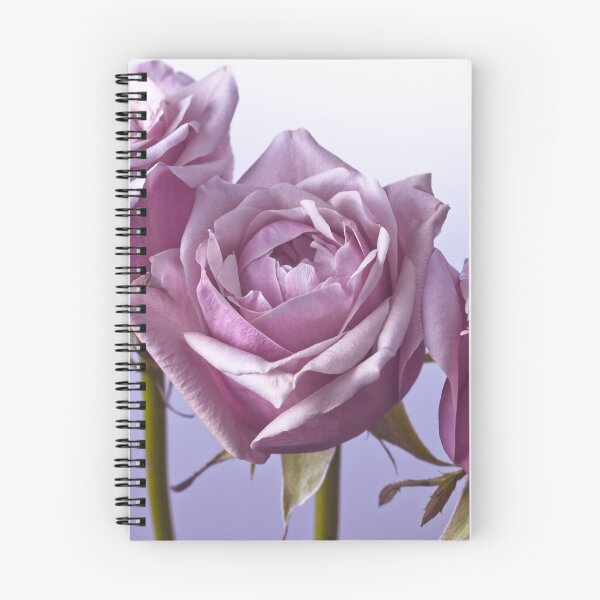 Item preview, The Allure of Purple Roses designed and sold by assaf.