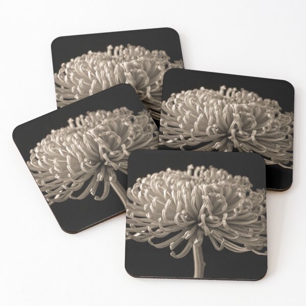 Item preview, Enchanting Petals designed and sold by assaf.