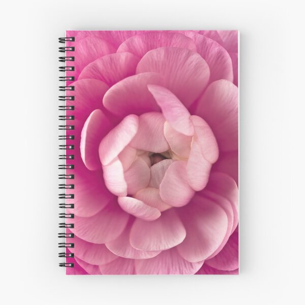 Item preview, Pink Ranunculus designed and sold by assaf.