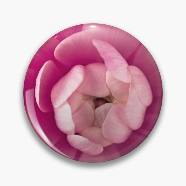 Item preview, Pink Ranunculus designed and sold by assaf.