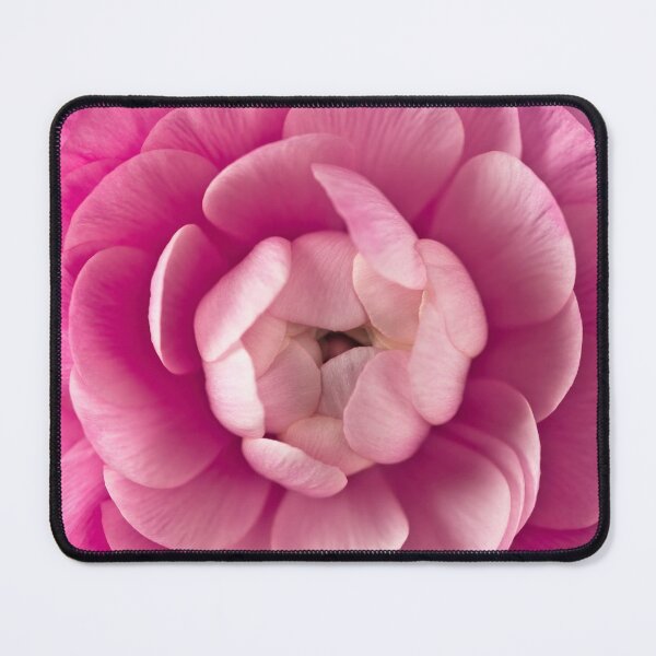 Item preview, Pink Ranunculus designed and sold by assaf.
