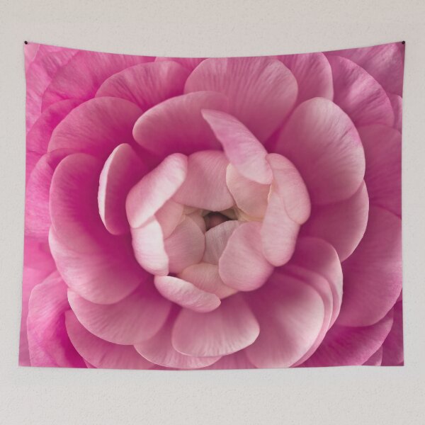 Item preview, Pink Ranunculus designed and sold by assaf.