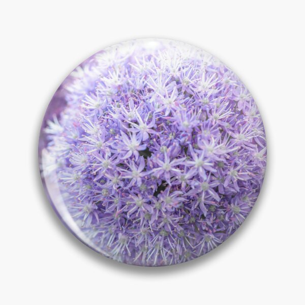 Item preview, Alliums bulbs designed and sold by assaf.
